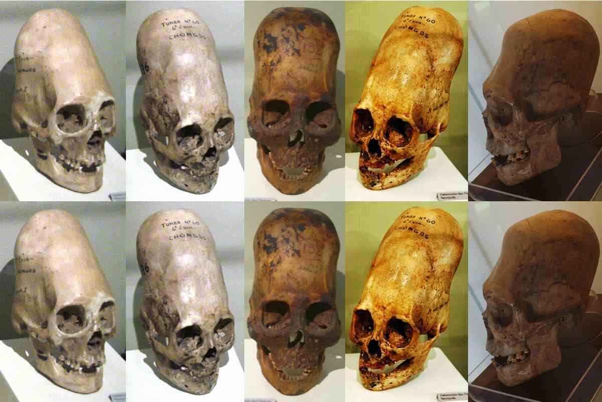 Image result for paracas skulls