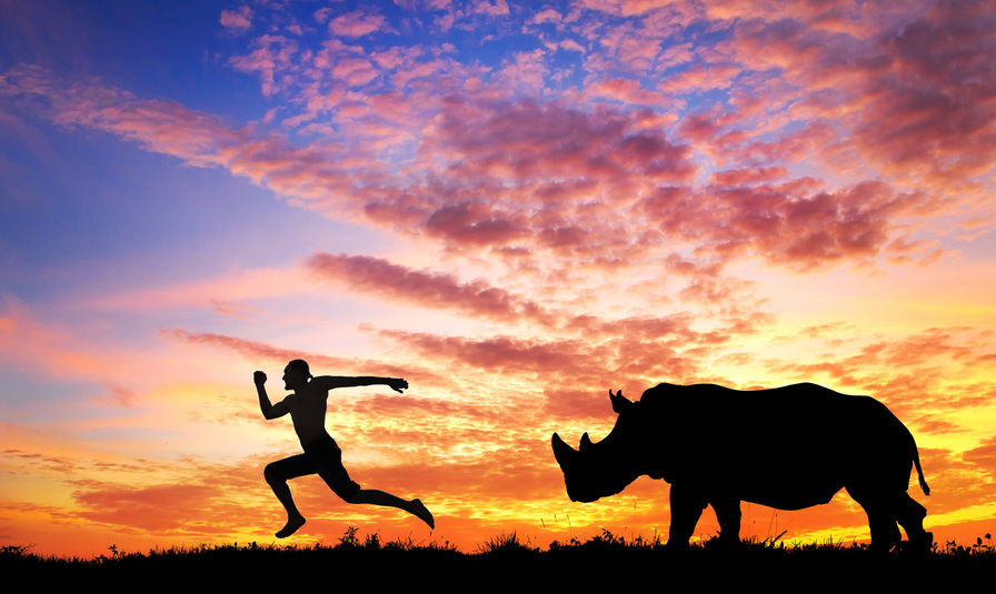 running from rhino