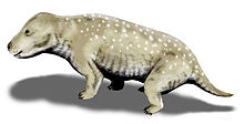 Image result for Exaeretodon