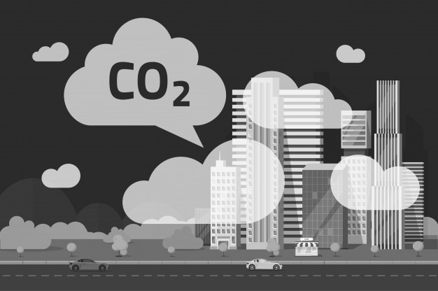 क्या पौधे कार्बन डाइऑक्साइड (CO2)लेते हैं और आक्सीजन (O2) छोड़ते हैं ?
