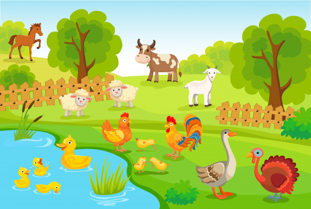 List of Farm Animals in English and Hindi