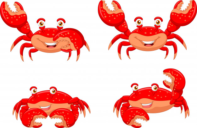 10 facts about Crabs